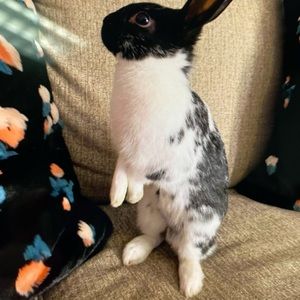 Meet your Posher, Jacob